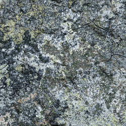 Similar image 13322455