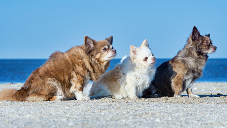 Similar image 13322410