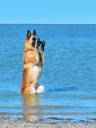 Similar image 13322412