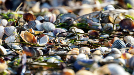 Similar image 13322185