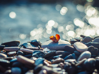 Similar image 13322362