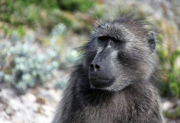 Similar image 13322672