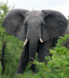 Similar image 13322702