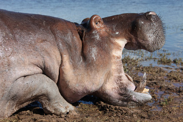 Similar image 13322664