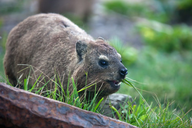 Similar image 13322665