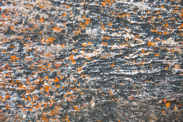 Similar image 13322679