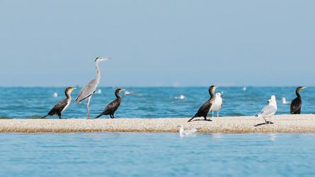 Similar image 13322414