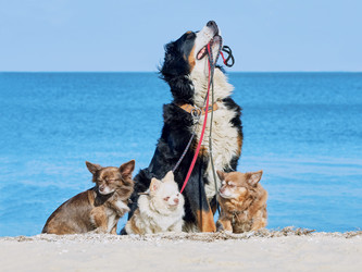 Similar image 13322478