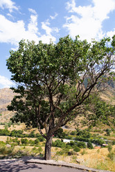 Similar image 13322723