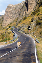 Similar image 13322724