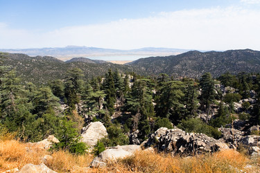 Similar image 13322725