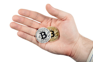 Similar image 13322491