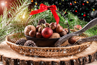 Similar image 13323496