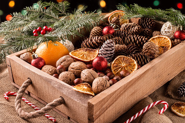 Similar image 13323500