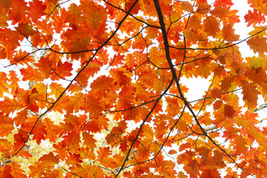 Similar image 13322676