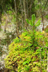 Similar image 13322686