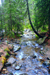 Similar image 13322688