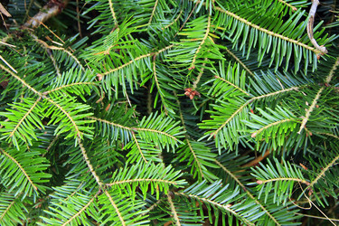 Similar image 13322691