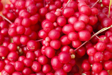 Similar image 13322704