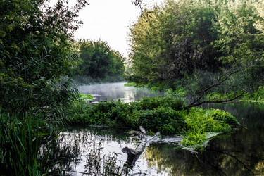 Similar image 13322155