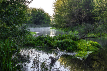 Similar image 13322161