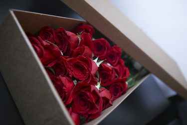 Similar image 13322498