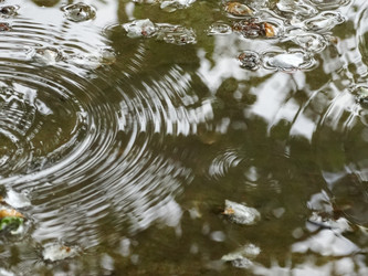 Similar image 13322334