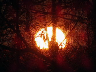 Similar image 13322337