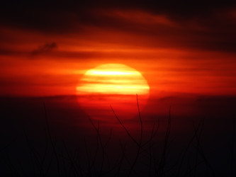 Similar image 13322351