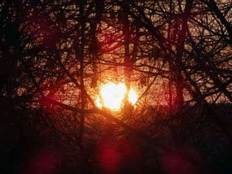 Similar image 13322357