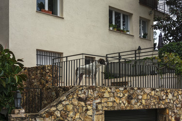 Similar image 13323205