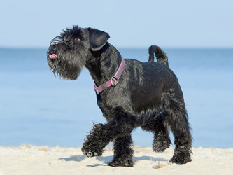 Similar image 13323484