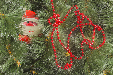 Similar image 13324055