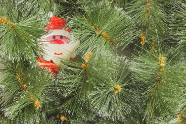 Similar image 13324056