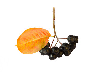 Similar image 13324066