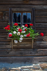 Similar image 13324073