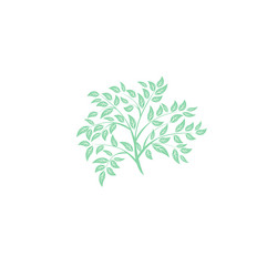 Similar image 13325997