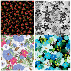 Similar image 13325710