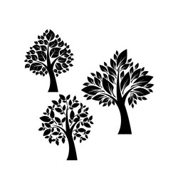 Similar image 13325714