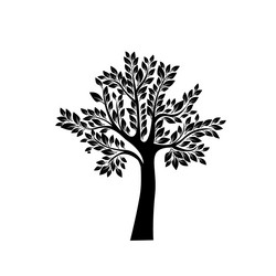 Similar image 13325774