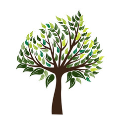 Similar image 13325637