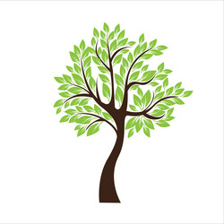 Similar image 13325848