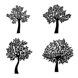 Similar image 13325888