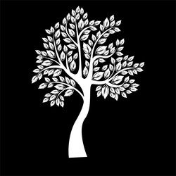 Similar image 13325853