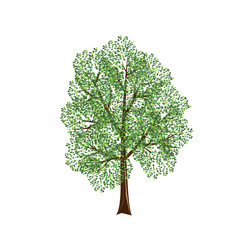 Similar image 13325988