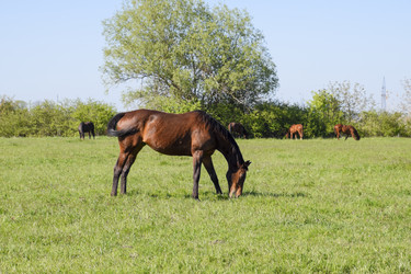 Similar image 14869822