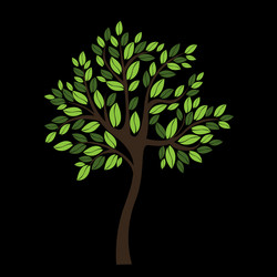 Similar image 13325872