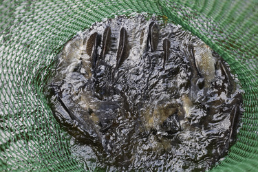 Similar image 14869838