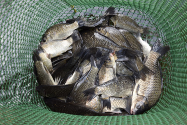 Similar image 14869830