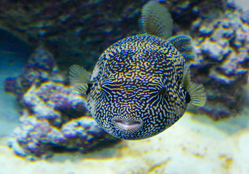 Similar image 14511110